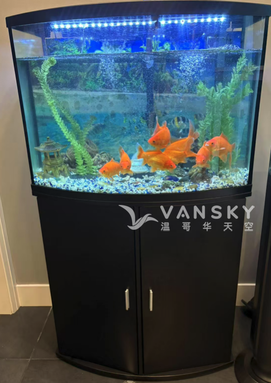 250818213458_Screenshot 2025-08-18 at 7.21.43 PM.png